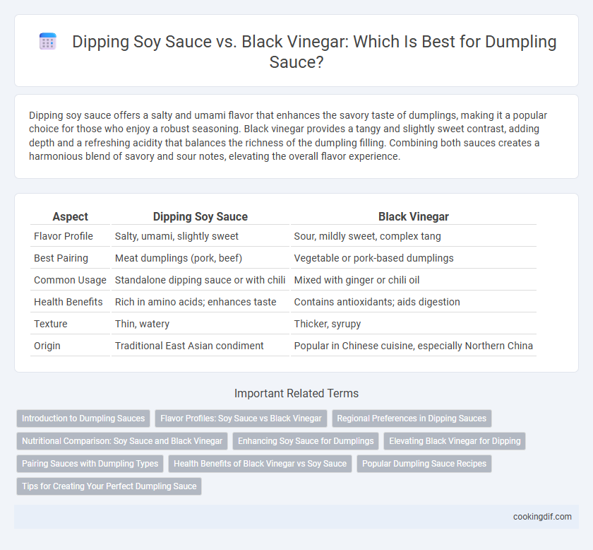 Dipping Soy Sauce vs. Black Vinegar: Which Is Best for Dumpling Sauce?