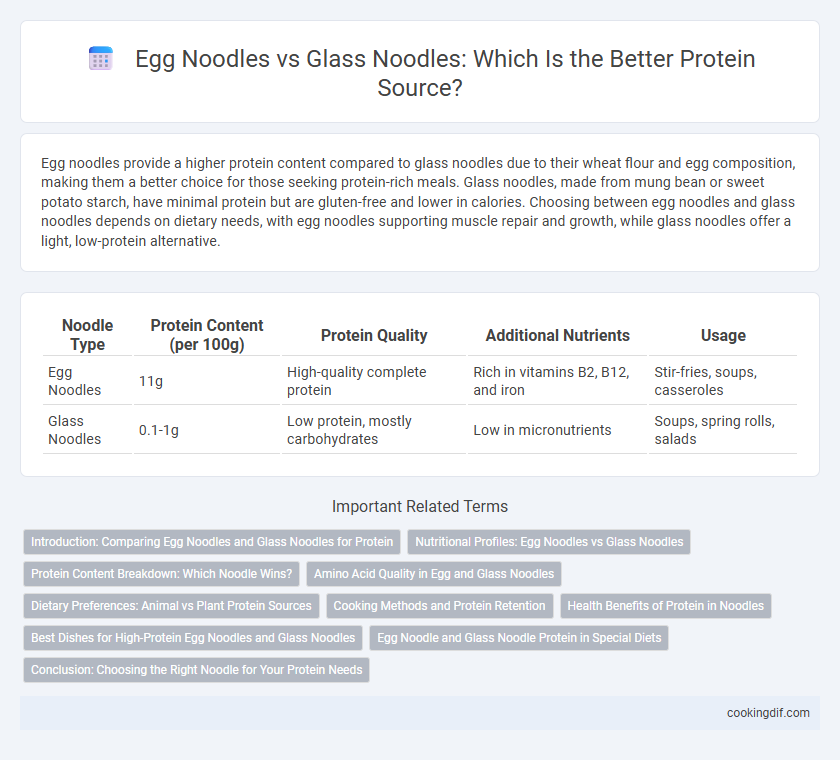 Egg Noodles vs Glass Noodles: Which Is the Better Protein Source?