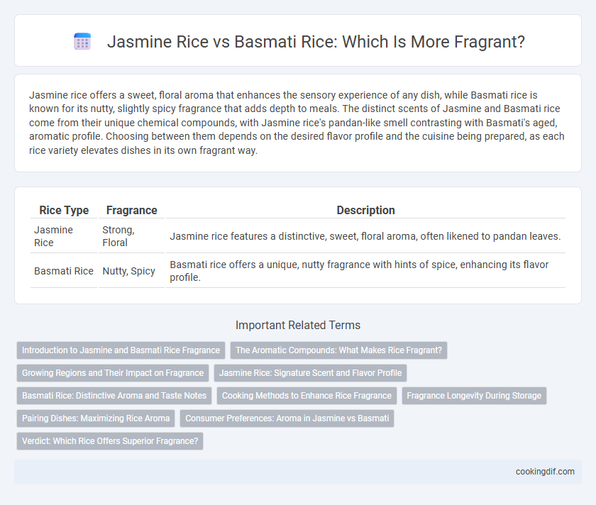 Jasmine Rice vs Basmati Rice: Which Is More Fragrant?