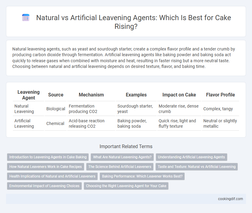 Natural vs Artificial Leavening Agents: Which Is Best for Cake Rising?