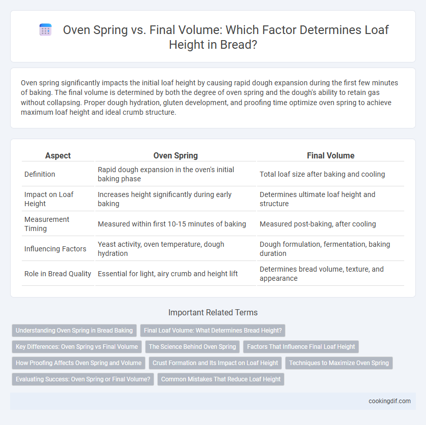 Oven Spring vs. Final Volume: Which Factor Determines Loaf Height in Bread?
