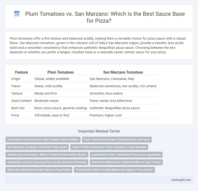 Plum Tomatoes vs. San Marzano: Which Is the Best Sauce Base for Pizza?