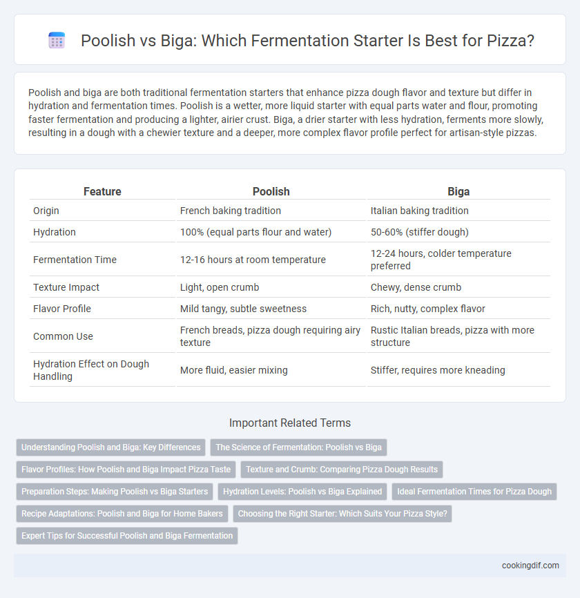 Poolish vs Biga: Which Fermentation Starter Is Best for Pizza?
