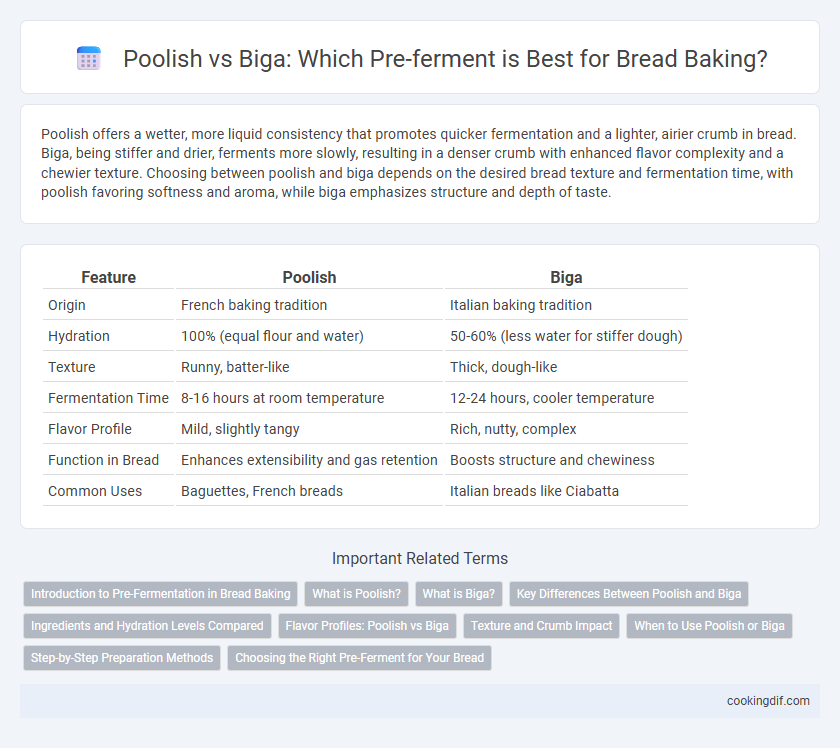 Poolish vs Biga: Which Pre-ferment is Best for Bread Baking?