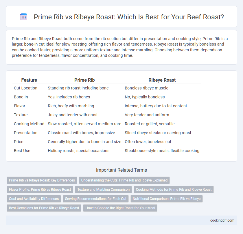 Prime Rib vs Ribeye Roast: Which Is Best for Your Beef Roast?