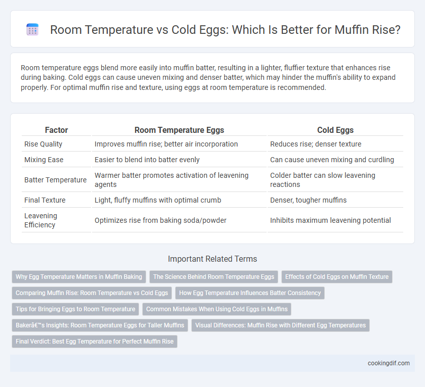 Room Temperature vs Cold Eggs: Which Is Better for Muffin Rise?