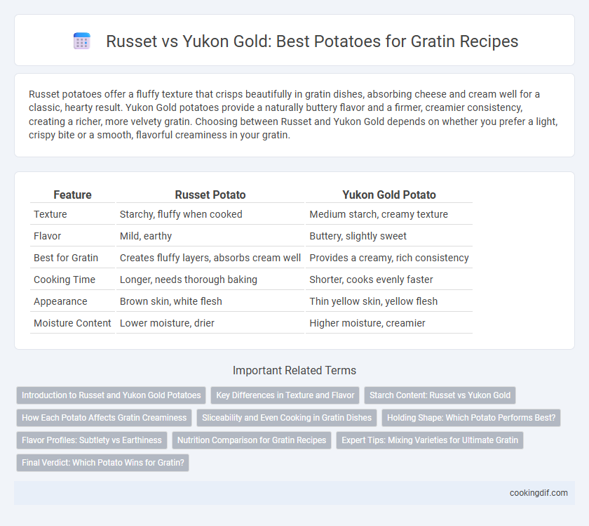 Russet vs Yukon Gold: Best Potatoes for Gratin Recipes