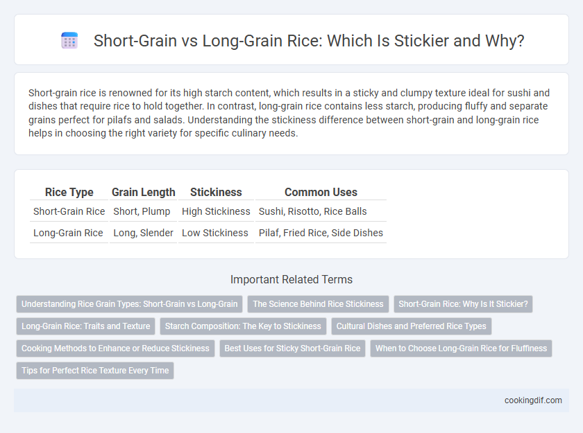 Short-Grain vs Long-Grain Rice: Which Is Stickier and Why?