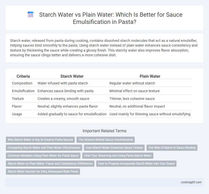 Starch Water vs Plain Water: Which Is Better for Sauce Emulsification in Pasta?