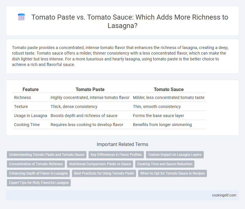 Tomato Paste vs. Tomato Sauce: Which Adds More Richness to Lasagna?