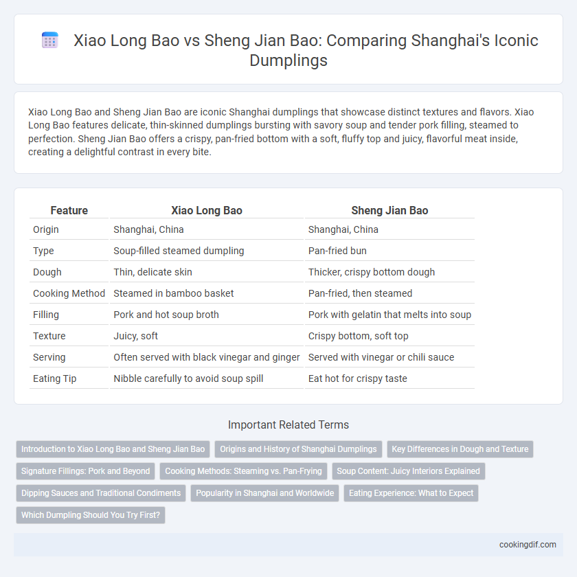 Xiao Long Bao vs Sheng Jian Bao: Comparing Shanghai's Iconic Dumplings