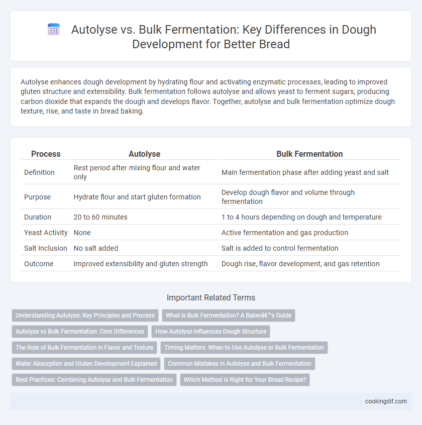 Autolyse vs. Bulk Fermentation: Key Differences in Dough Development for Better Bread
