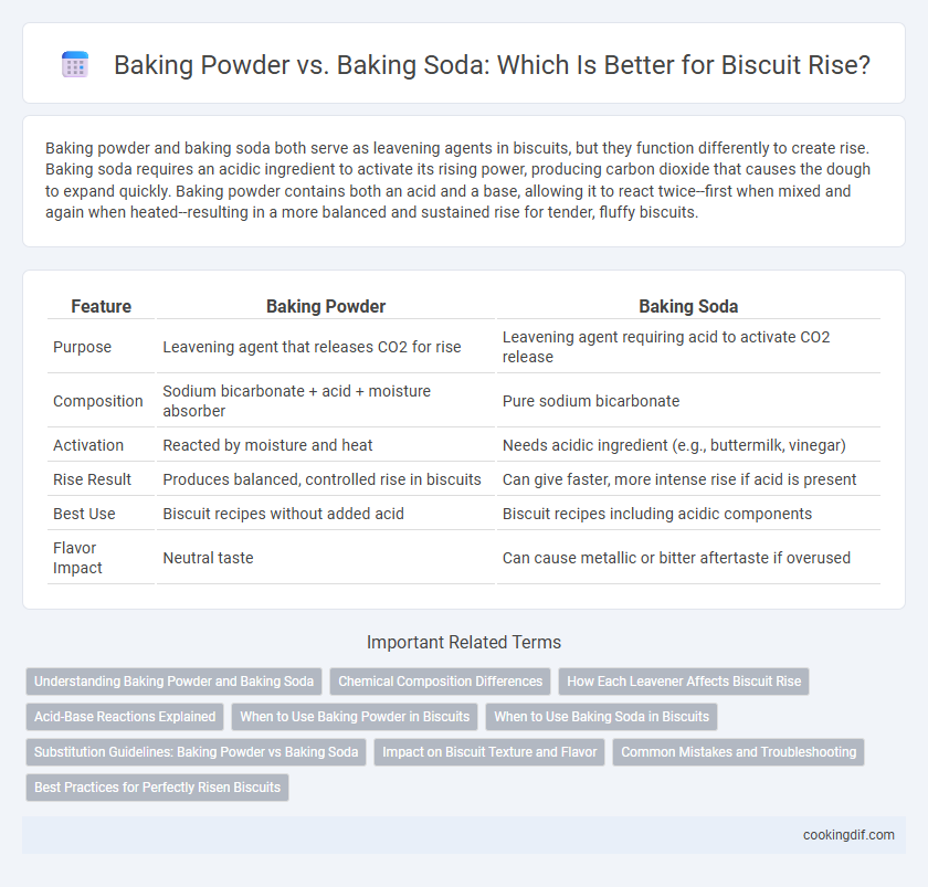 Baking Powder vs. Baking Soda: Which Is Better for Biscuit Rise?