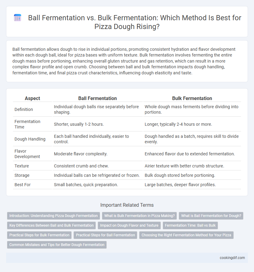 Ball Fermentation vs. Bulk Fermentation: Which Method Is Best for Pizza Dough Rising?