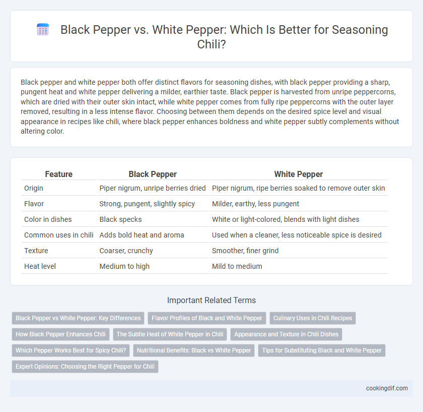 Black Pepper vs. White Pepper: Which Is Better for Seasoning Chili?