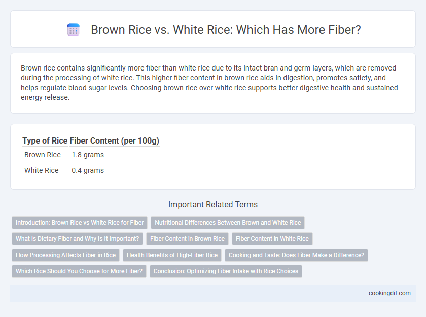 Brown Rice vs. White Rice: Which Has More Fiber?