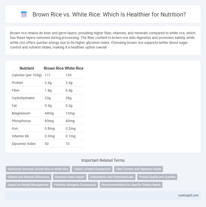 Brown Rice vs. White Rice: Which Is Healthier for Nutrition?