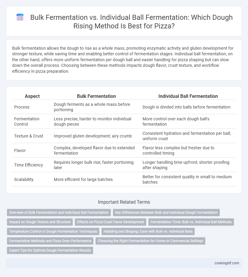 Bulk Fermentation vs. Individual Ball Fermentation: Which Dough Rising Method Is Best for Pizza?
