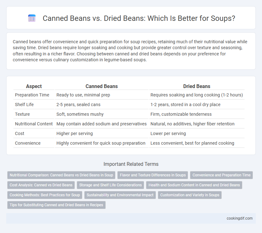 Canned Beans vs. Dried Beans: Which Is Better for Soups?