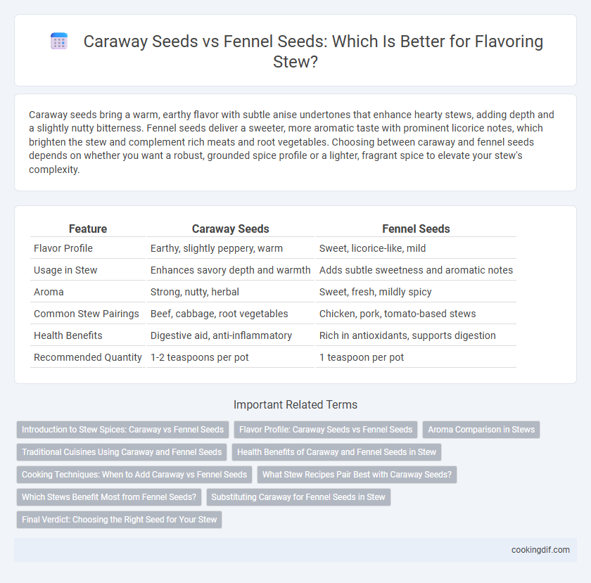 Caraway Seeds vs Fennel Seeds: Which Is Better for Flavoring Stew?