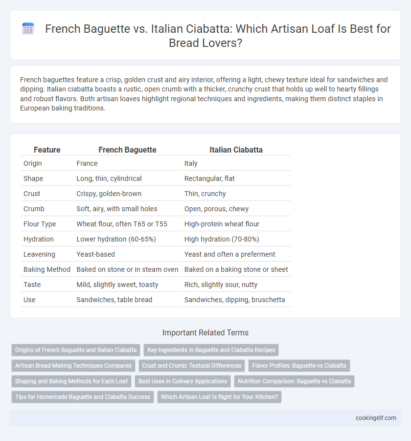 French Baguette vs. Italian Ciabatta: Which Artisan Loaf Is Best for Bread Lovers?