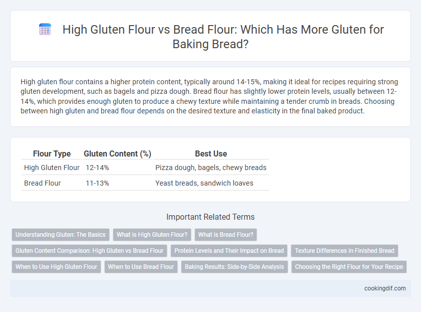 High Gluten Flour vs Bread Flour: Which Has More Gluten for Baking Bread?