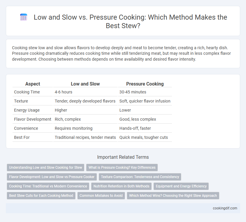 Low and Slow vs. Pressure Cooking: Which Method Makes the Best Stew?
