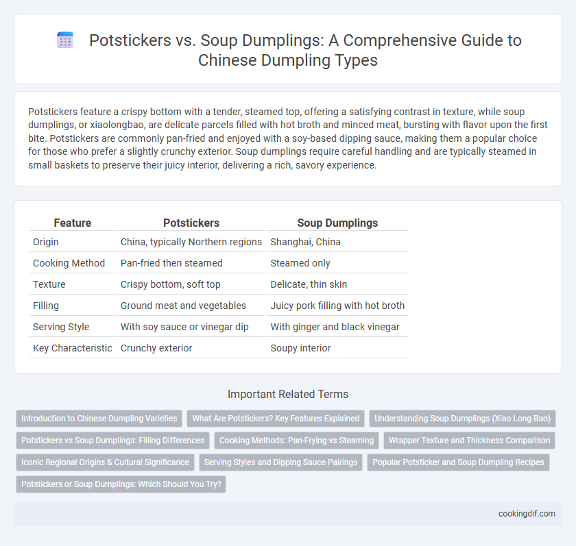 Potstickers vs. Soup Dumplings: A Comprehensive Guide to Chinese Dumpling Types