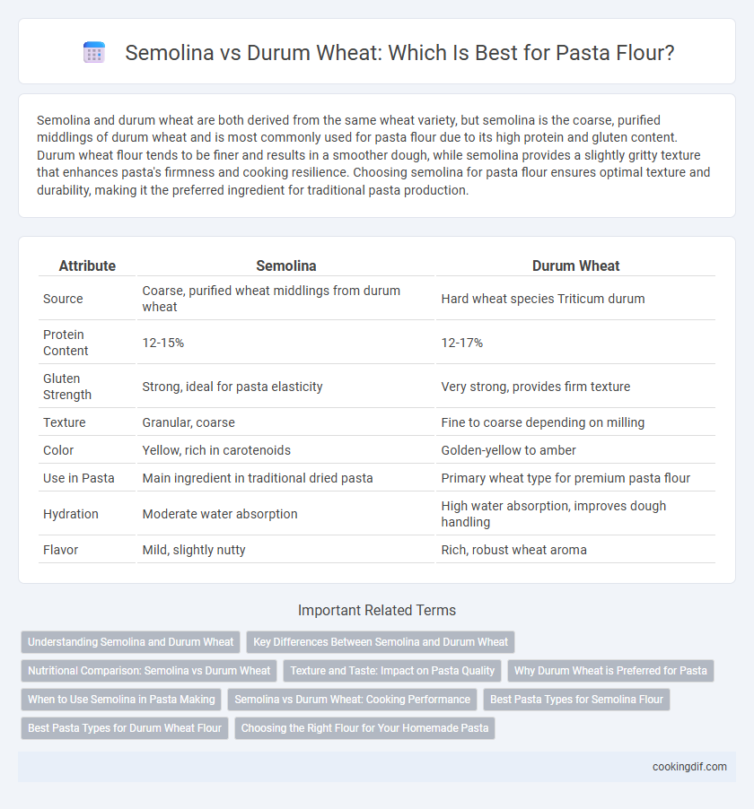 Semolina vs Durum Wheat: Which Is Best for Pasta Flour?