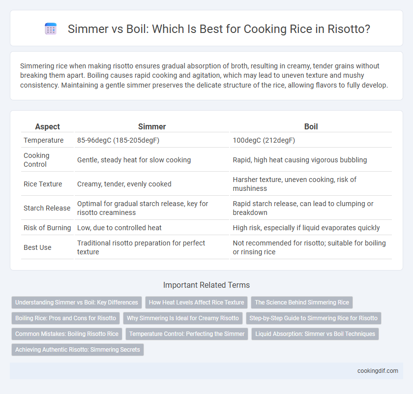 Simmer vs Boil: Which Is Best for Cooking Rice in Risotto?