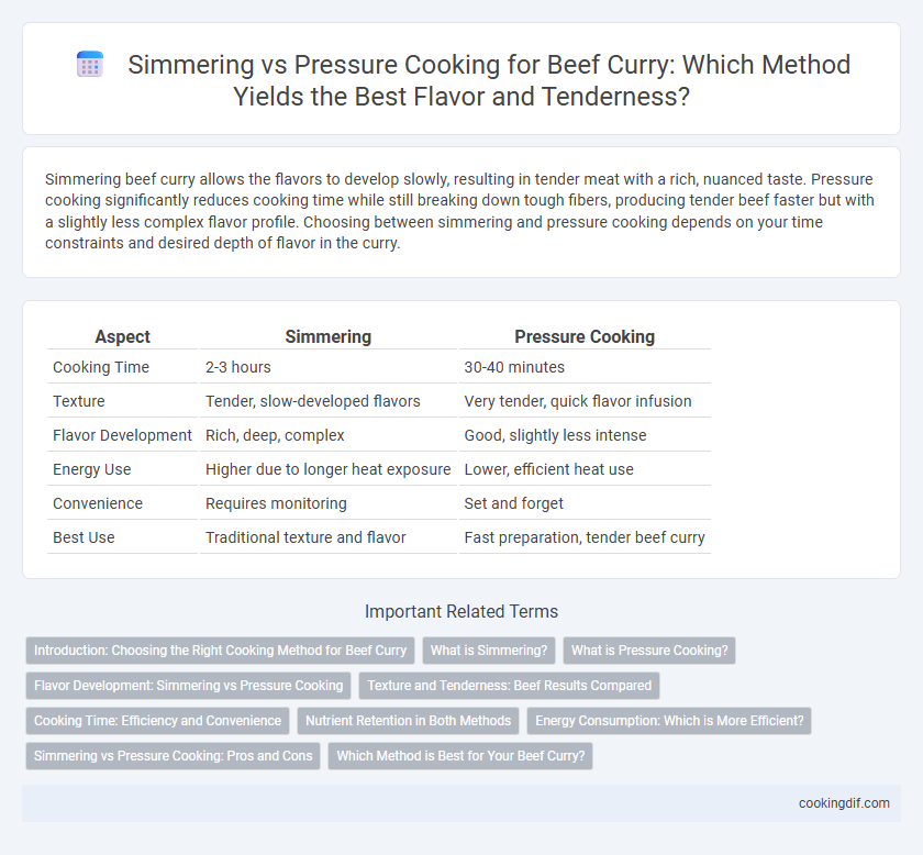 Simmering vs Pressure Cooking for Beef Curry: Which Method Yields the Best Flavor and Tenderness?