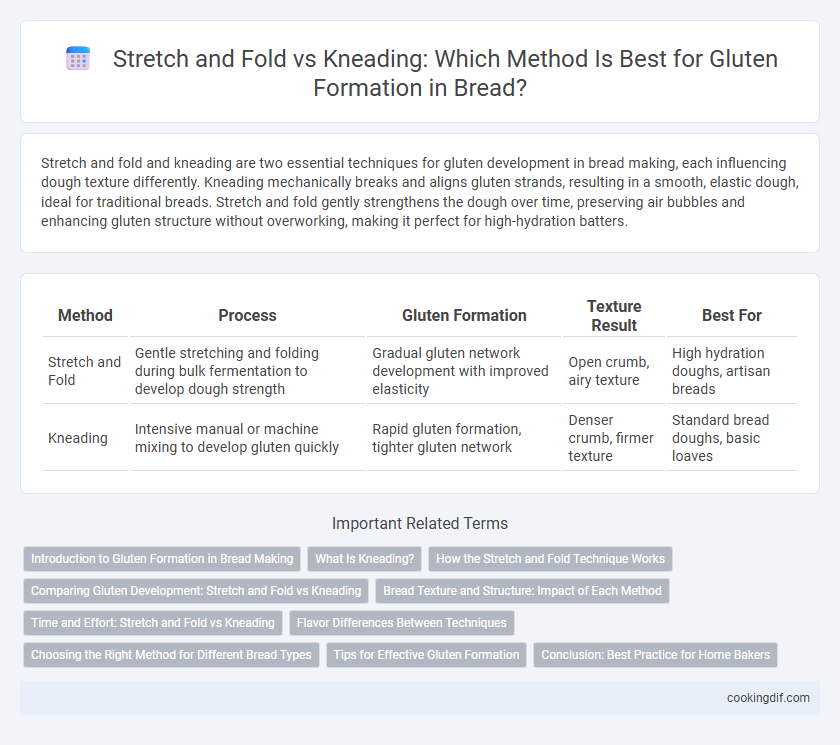 Stretch and Fold vs Kneading: Which Method Is Best for Gluten Formation in Bread?