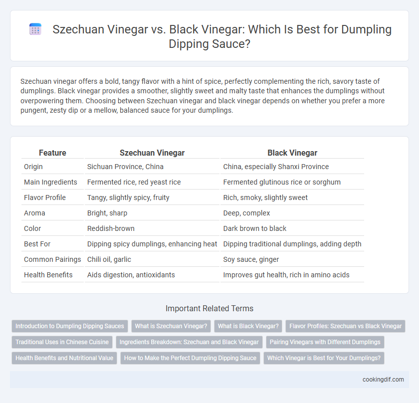 Szechuan Vinegar vs. Black Vinegar: Which Is Best for Dumpling Dipping Sauce?