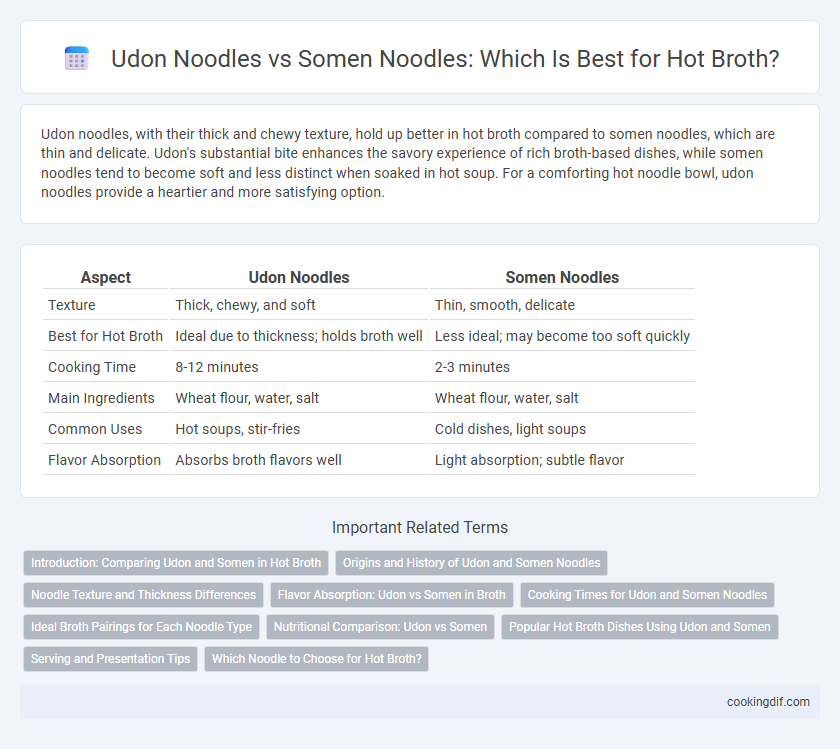 Udon Noodles vs Somen Noodles: Which Is Best for Hot Broth?