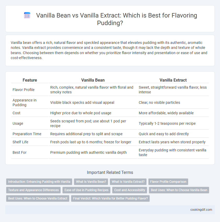 Vanilla Bean vs Vanilla Extract: Which is Best for Flavoring Pudding?