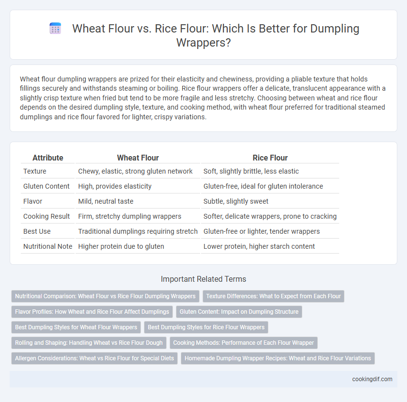 Wheat Flour vs. Rice Flour: Which Is Better for Dumpling Wrappers?