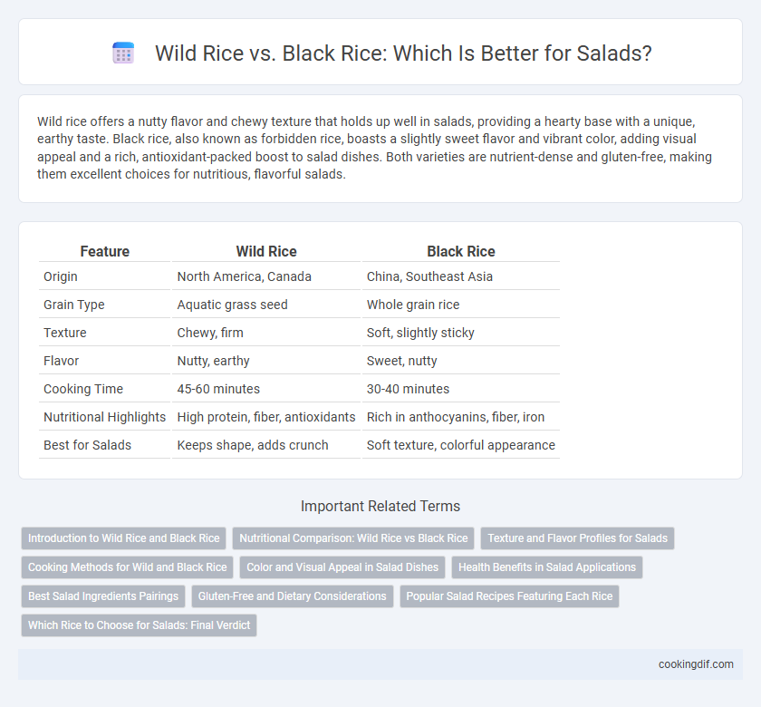 Wild Rice vs. Black Rice: Which Is Better for Salads?