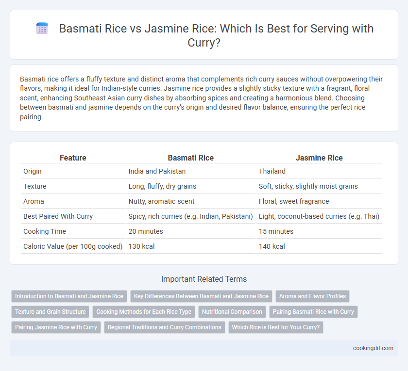 Basmati Rice vs Jasmine Rice: Which Is Best for Serving with Curry?