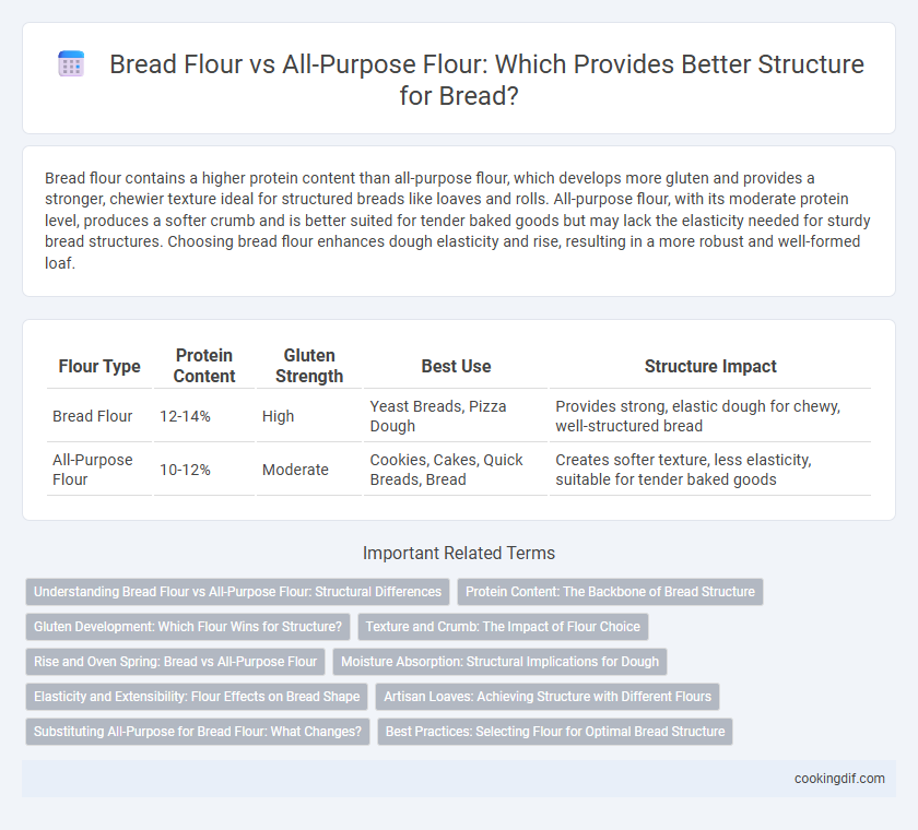 Bread Flour vs All-Purpose Flour: Which Provides Better Structure for Bread?