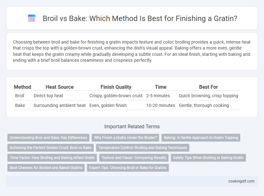 Broil vs Bake: Which Method Is Best for Finishing a Gratin?