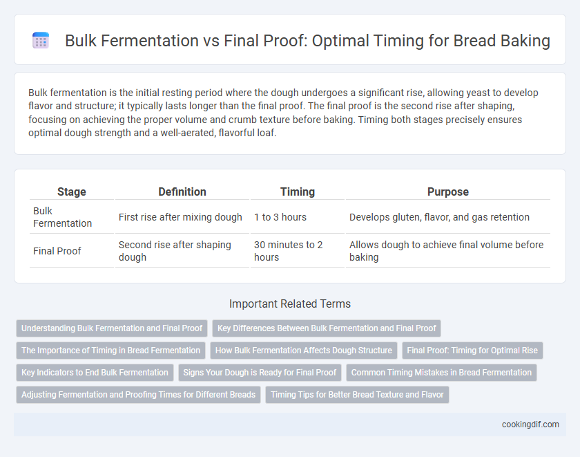 Bulk Fermentation vs Final Proof: Optimal Timing for Bread Baking