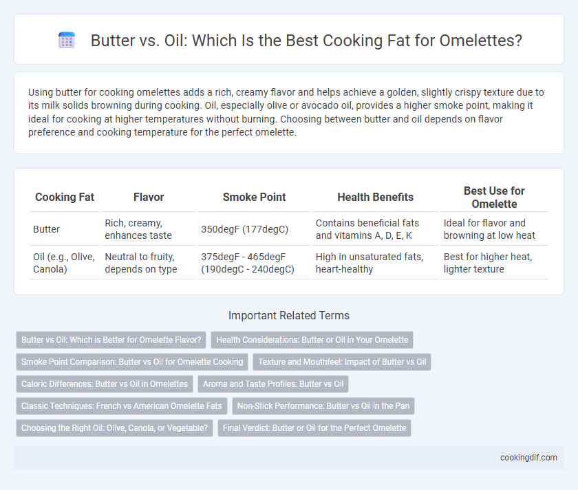 Butter vs. Oil: Which Is the Best Cooking Fat for Omelettes?