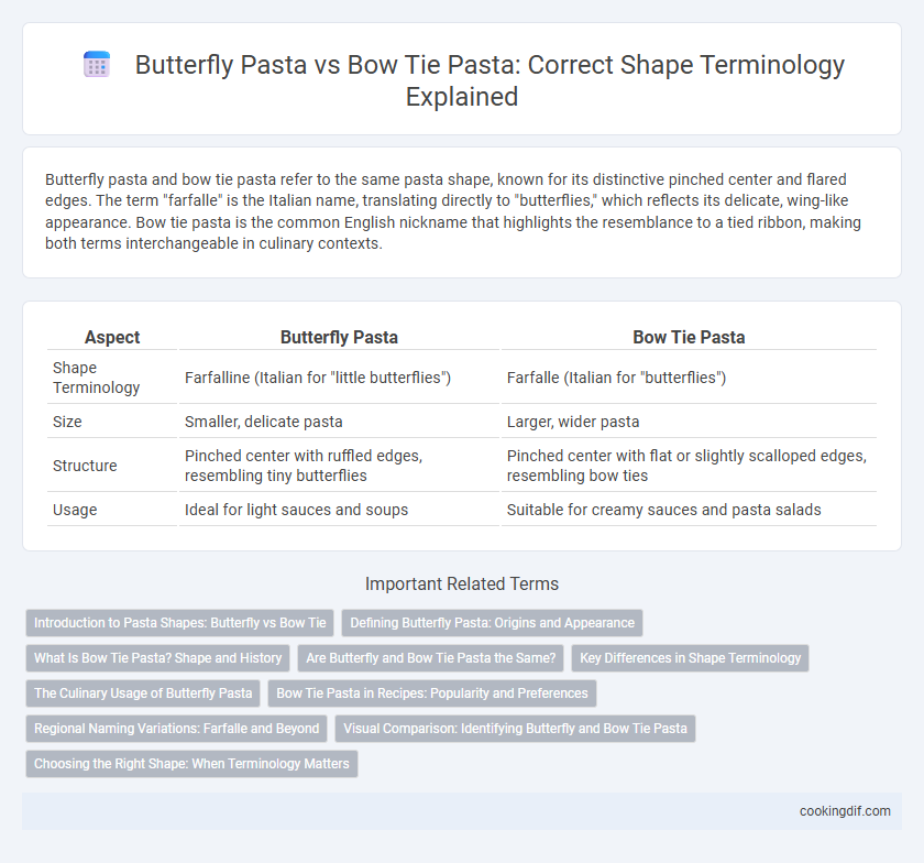 Butterfly Pasta vs Bow Tie Pasta: Correct Shape Terminology Explained