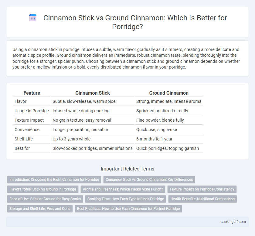 Cinnamon Stick vs Ground Cinnamon: Which Is Better for Porridge?
