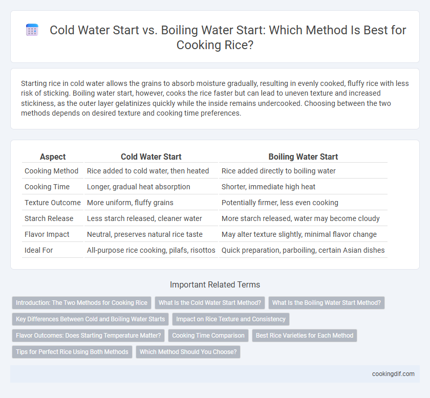 Cold Water Start vs. Boiling Water Start: Which Method Is Best for Cooking Rice?