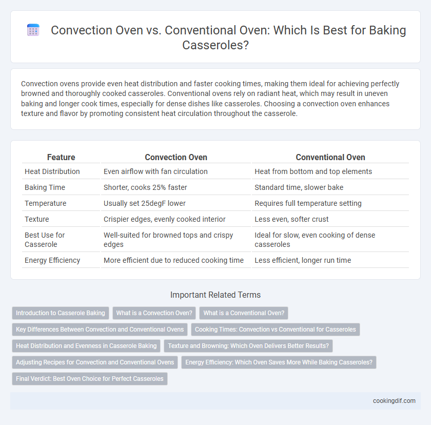 Convection Oven vs. Conventional Oven: Which Is Best for Baking Casseroles?