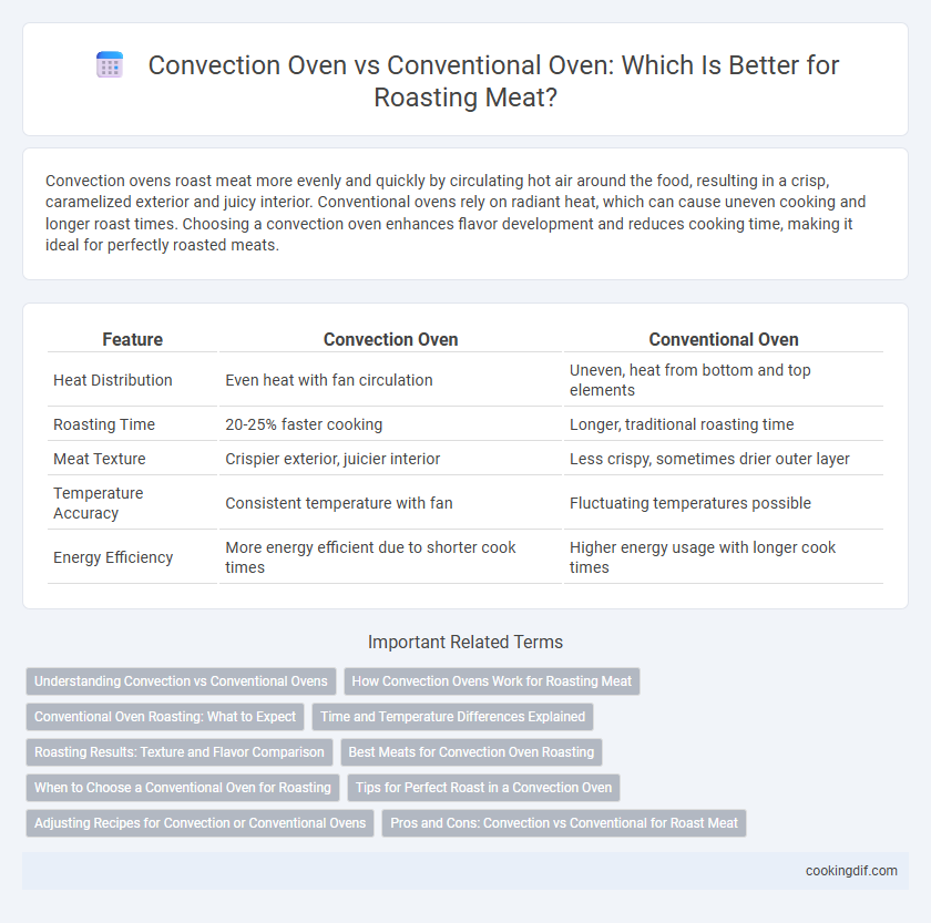 Convection Oven vs Conventional Oven: Which Is Better for Roasting Meat?