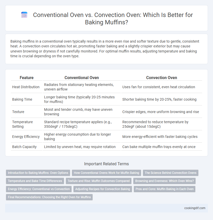 Conventional Oven vs. Convection Oven: Which Is Better for Baking Muffins?