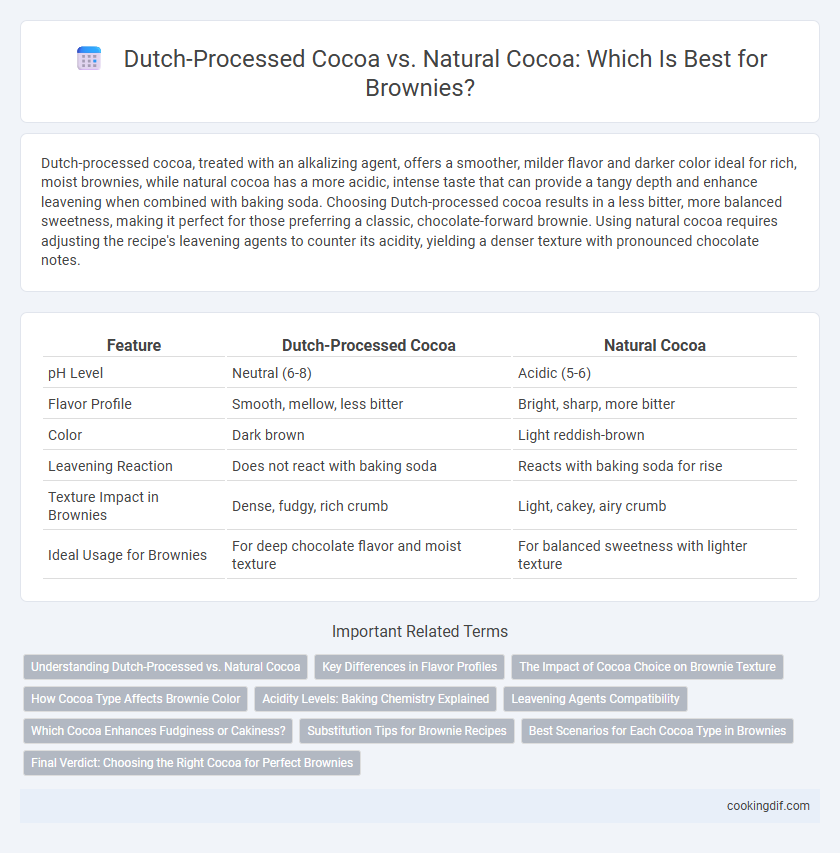 Dutch-Processed Cocoa vs. Natural Cocoa: Which Is Best for Brownies?