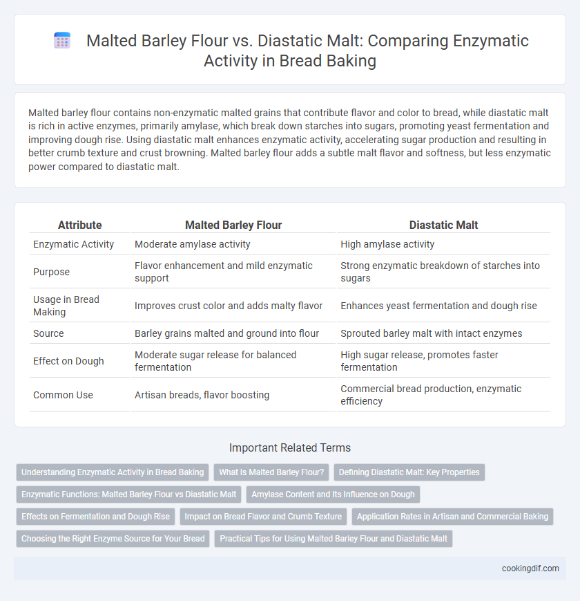 Malted Barley Flour vs. Diastatic Malt: Comparing Enzymatic Activity in Bread Baking